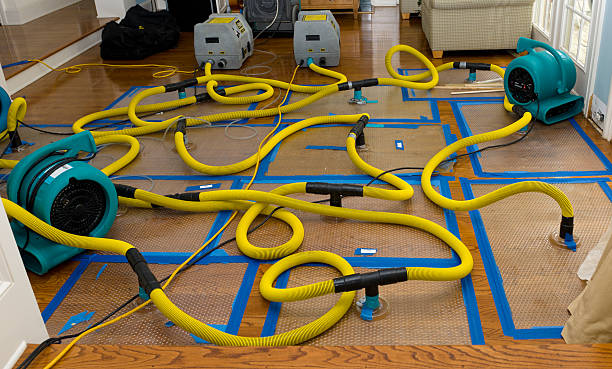 Professional Basement Flood Cleanup technician working in Seymour, TX